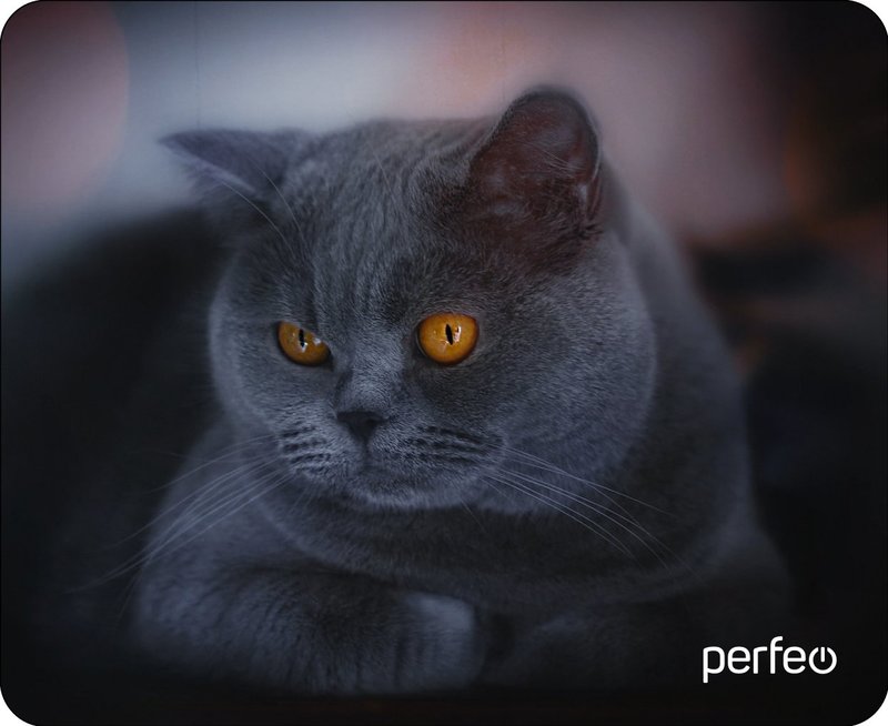 Коврик Perfeo для мыши 