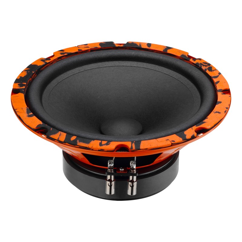Акустическая система DL Audio Gryphon Pro 200 Midbass