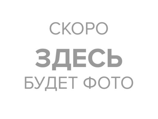 Гайковерт аккумуляторный АГ-300/20Li (в комплекте 2 АКБ и ЗУ) в кейсе Вихрь