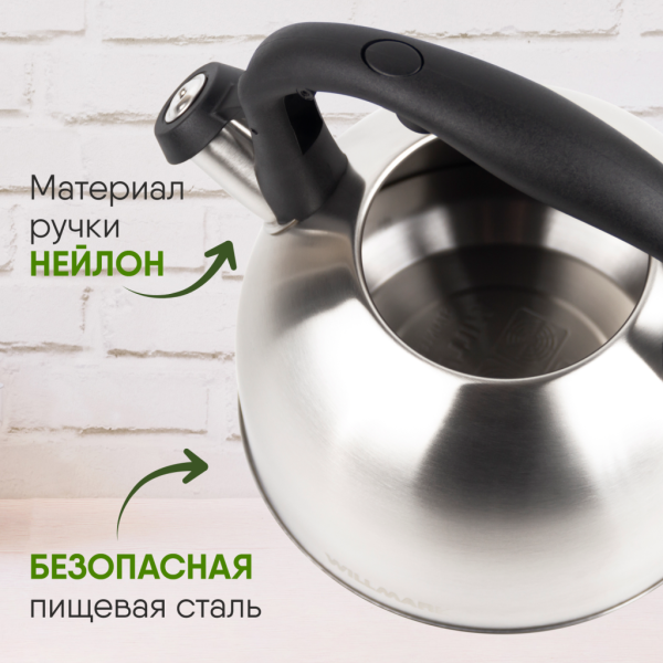 Чайник WILLMARK WTK-3229SS матовый, 2.5л